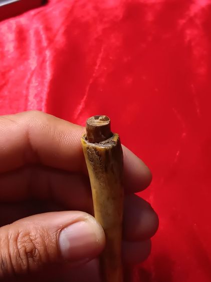 ตะกรุดกระดูกห่าน ไม่ทราบที่ รูปที่ 2