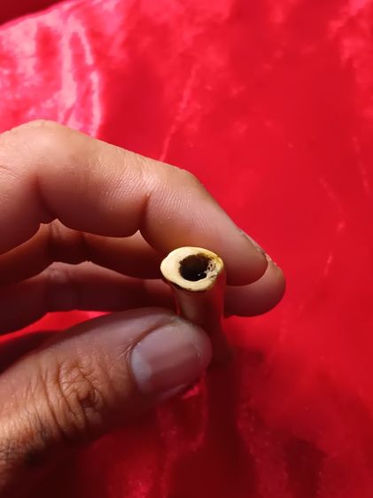 ตะกรุดกระดูกห่าน ไม่ทราบที่ รูปที่ 4