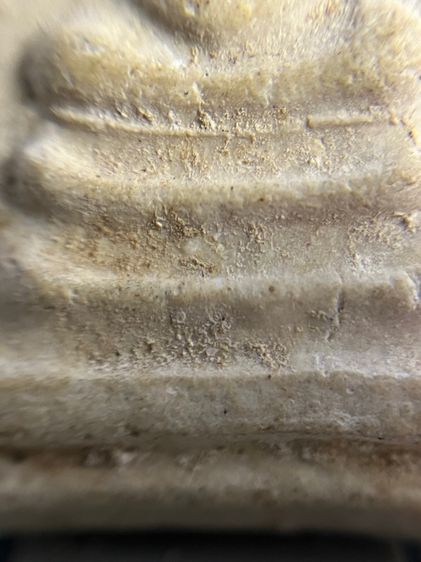 บางขุนพรหมกรุเก่า รูปที่ 7