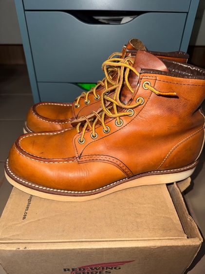 Redwing 875 รูปที่ 2