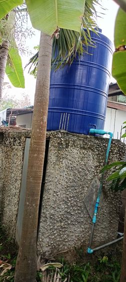 ใช่ ขายสวนผลไม้ รูปที่ 4