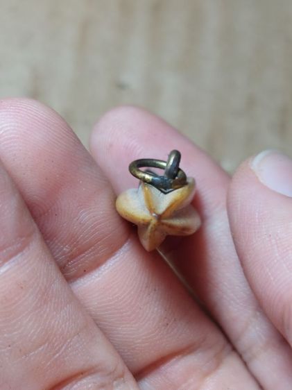 เครื่องรางมะเฟืองหลวงพ่อพักวัดโบสถ์อ่างทอง รูปที่ 5