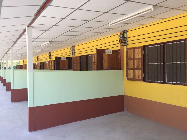 ไม่มี 2023 ให้เช่าห้องแถว บ้านพักใหม่ สะอาดร่มรื่น เงียบสงบ ปลอดภัย พร้อมที่จอดรถ อ.บางแพ จ.ราชบุรี รูปที่ 2