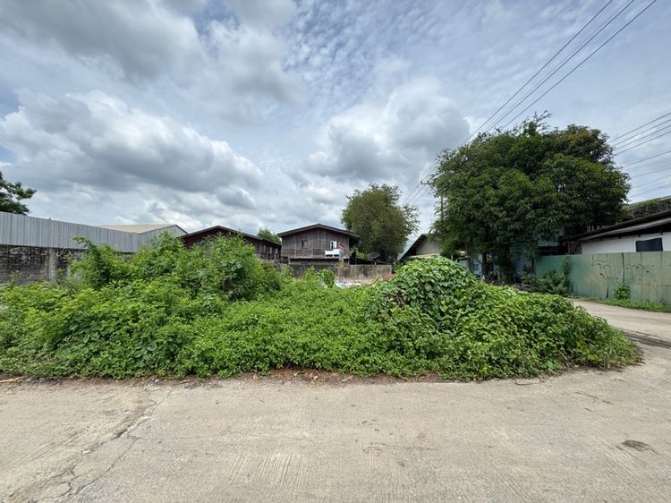 ขายที่ดินเปล่าซอยนวลทอง 12 ราคาประเมิน แปลงหัวมุม รูปที่ 2