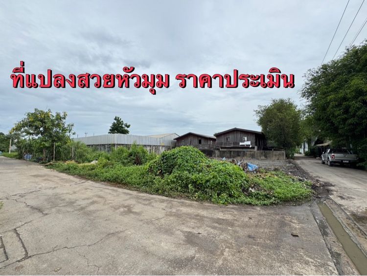 ขายที่ดินเปล่าซอยนวลทอง 12 ราคาประเมิน แปลงหัวมุม