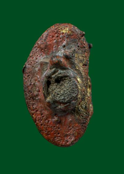 พระชัยวัฒน์หลวงปู่บุญ รูปที่ 3