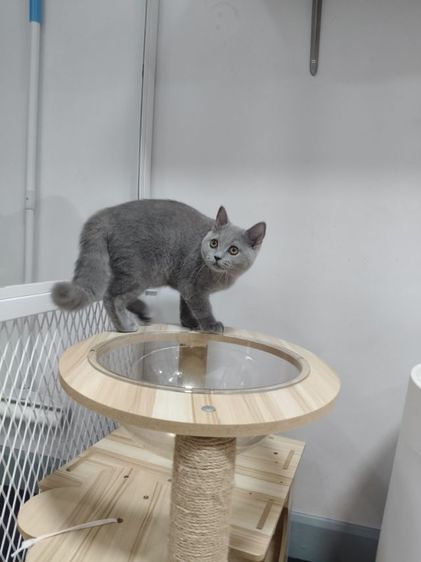 เด็กหญิงคนสุดท้อง