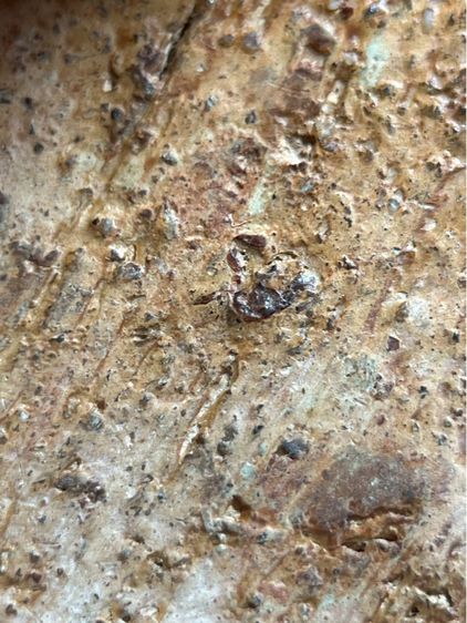 หลวงพ่อโตกรุวัดบางกระทิง พิมพ์สมาธิ เนื้อดิน รูปที่ 15