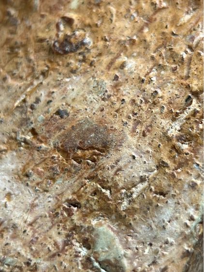 หลวงพ่อโตกรุวัดบางกระทิง พิมพ์สมาธิ เนื้อดิน รูปที่ 16