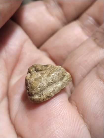 เก่าแวะมาดูครับ รูปที่ 5