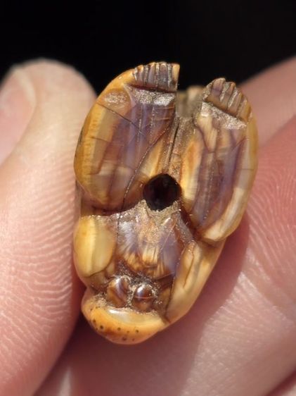 หลวงพ่อพัว รูปที่ 5