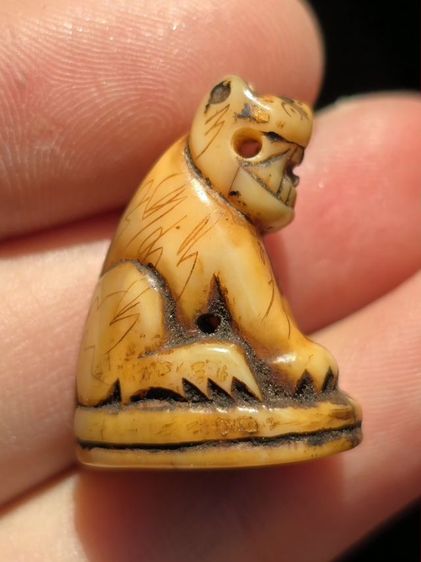 หลวงพ่อปาน รูปที่ 5