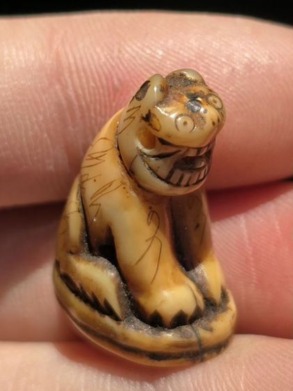 หลวงพ่อปาน รูปที่ 6