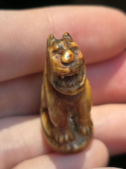 หลวงพ่อคง รูปที่ 5