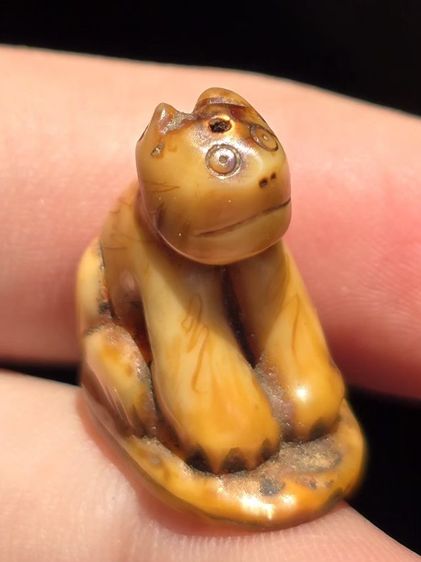 หลวงพ่อปาน รูปที่ 6