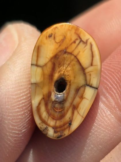 หลวงพ่อปาน รูปที่ 5