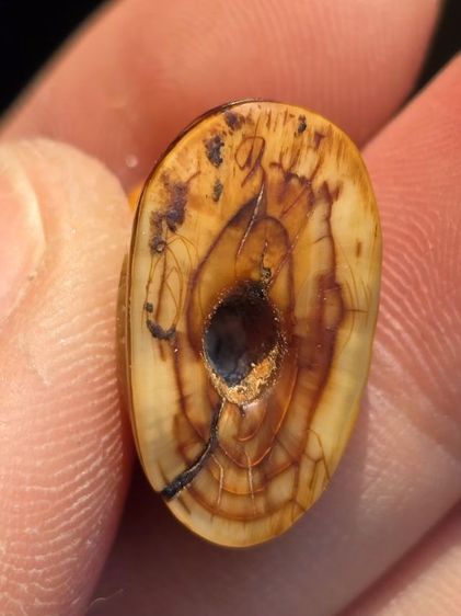 หลวงพ่อปาน รูปที่ 6