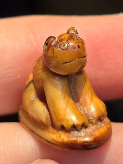 หลวงพ่อปาน รูปที่ 5