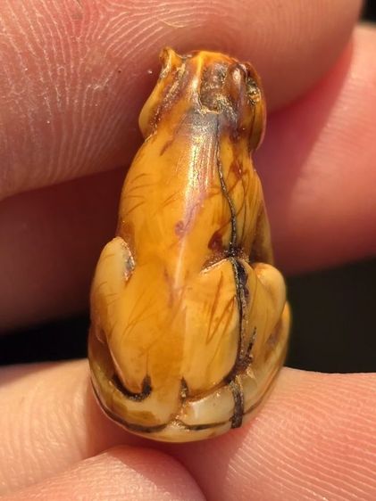 หลวงพ่อปาน รูปที่ 2