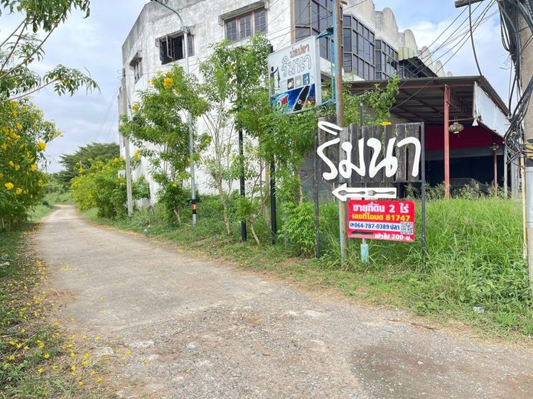 ที่ดินเปล่า รูปที่ 2