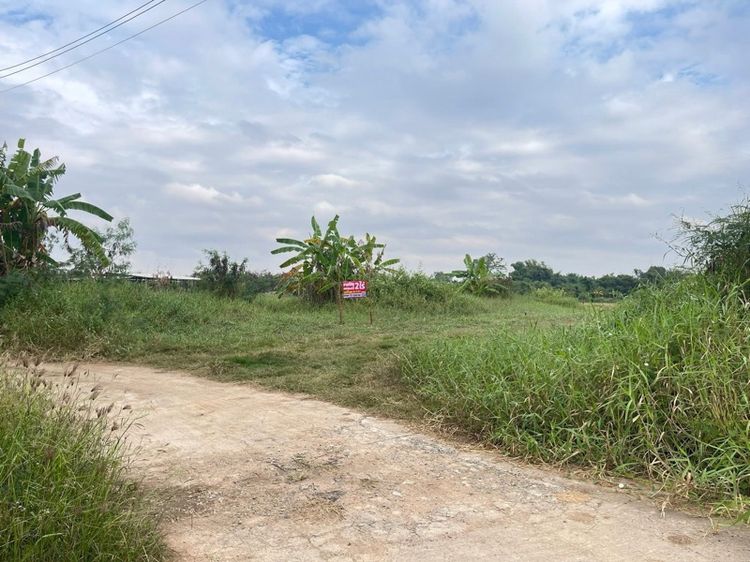 ที่ดินเปล่า รูปที่ 4