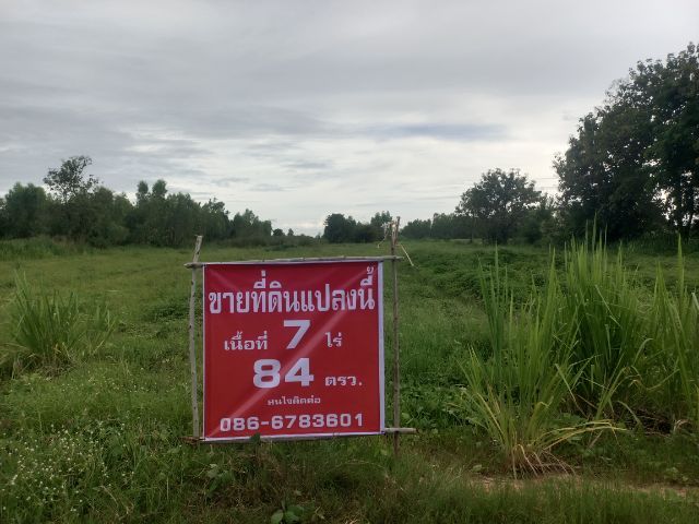 ที่ดิน รูปที่ 4