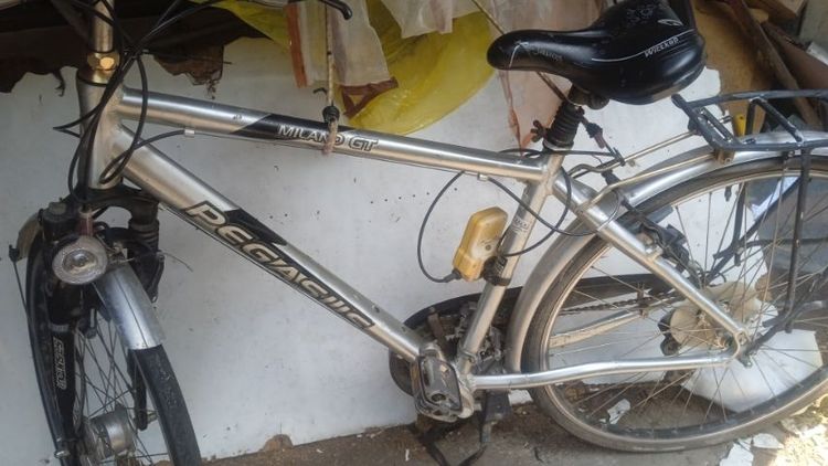 ขี่ได้เลย