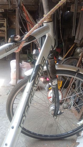 ขี่ได้เลย รูปที่ 4