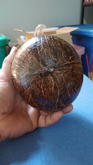 กะลาตาเดียวธรรมชาติไม่ปลุกเสก รูปที่ 7