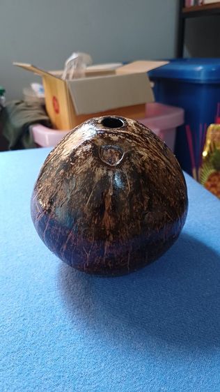 กะลาตาเดียวธรรมชาติไม่ปลุกเสก รูปที่ 9