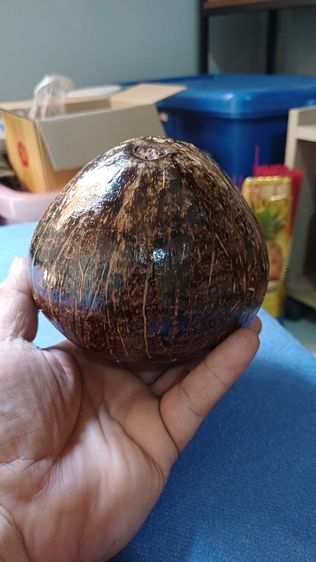 กะลาตาเดียวธรรมชาติไม่ปลุกเสก