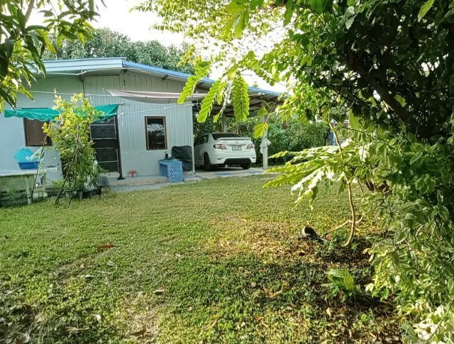 ขายสวนมะม่วงพร้อมบ้านเนื้อที่1ไร่58ตารางวาใกล้โรงพยาบาลสามชุกสุพรรณบุรีสนใจติดต่อ0814018632มีน้ำไฟพร้อมเข้าอยู่อาศัย รูปที่ 2