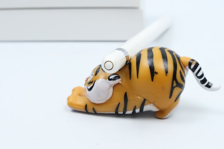 Apple Pencil รุ่น 1 - ID26040082 รูปที่ 7