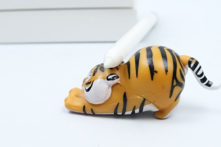 Apple Pencil รุ่น 1 - ID26040082 รูปที่ 6