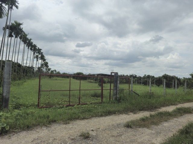 
ขายที่ดิน
แม่ริม- เหมืองแก้ว  ติดวงแหวนรอบ 4
 รูปที่ 3