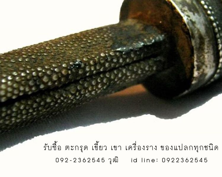 รับซื้อเครื่องราง เขี้ยวเขา ของแปลก รูปที่ 4