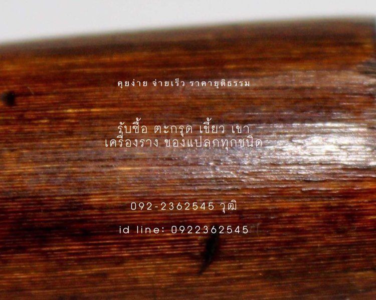 รับซื้อเครื่องราง เขี้ยวเขา ของแปลก รูปที่ 2