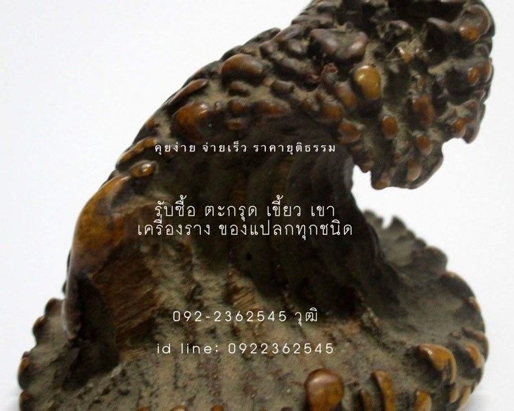 รับซื้อเครื่องราง เขี้ยวเขา ของแปลก