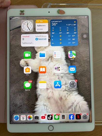 ขาย ipad air 3 สีชมพู 64gb  รูปที่ 8