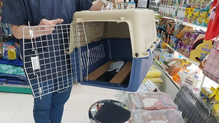 โปรเมษายน กรงสัตว์เลี้ยง พลาสติก หน้าร้าน ถ.เทพรักษ์ บางเขน (เพ็ทพริตตี้) รูปที่ 2
