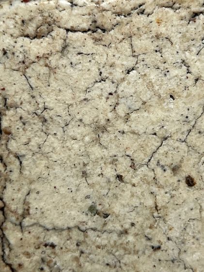 สมเด็จพระระฆังพิมพ์ใหญ่มีหน้ามีตา ส่งตามรูป (126) รูปที่ 9