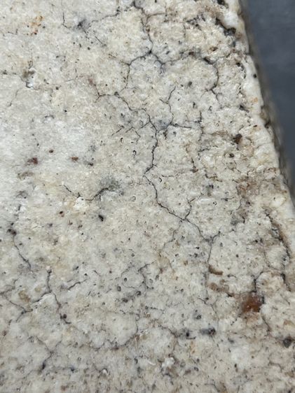 สมเด็จพระระฆังพิมพ์ใหญ่มีหน้ามีตา ส่งตามรูป (126) รูปที่ 11