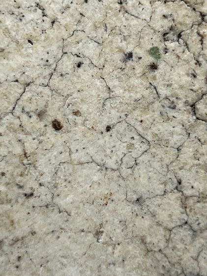 สมเด็จพระระฆังพิมพ์ใหญ่มีหน้ามีตา ส่งตามรูป (126) รูปที่ 10