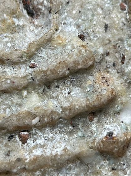 พระสมเด็จวัดระฆังพิมพ์หลวงวิจารณ์ ส่งตามรูป (126) รูปที่ 7