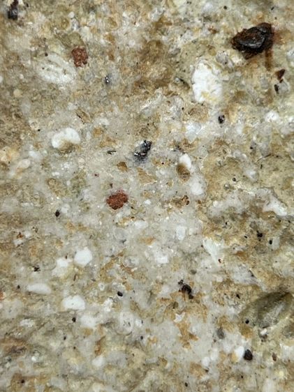 พระสมเด็จวัดระฆังพิมพ์หลวงวิจารณ์ ส่งตามรูป (126) รูปที่ 9