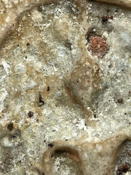 พระสมเด็จวัดระฆังพิมพ์หลวงวิจารณ์ ส่งตามรูป (126) รูปที่ 5