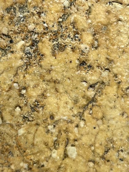 พระสมเด็จวัดระฆังพิมพ์ใหญ่กรอบกระจก ส่งตามรูป(127) รูปที่ 10