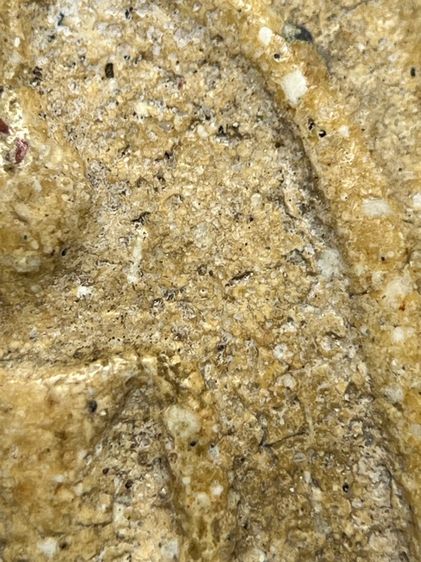 พระสมเด็จวัดระฆังพิมพ์ใหญ่กรอบกระจก ส่งตามรูป(127) รูปที่ 6