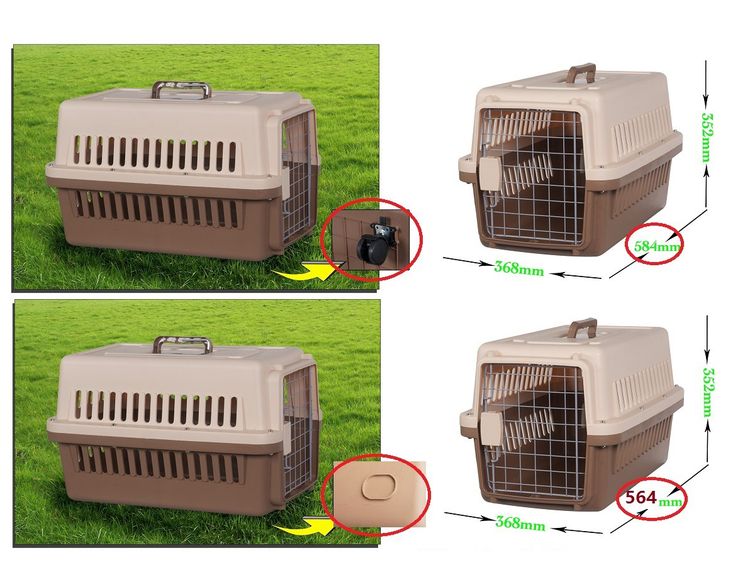 โปรเมษายน กรงพลาสติกเดินทาง กรงสัตว์เลี้ยง หน้าร้าน ถ.เทพรักษ์ บางเขน (เพ็ทพริตตี้) รูปที่ 2