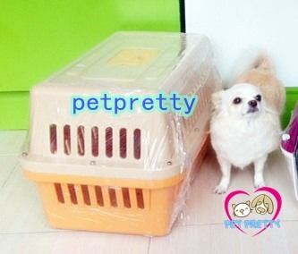 โปรเมษายน กรงพลาสติกเดินทาง กรงสัตว์เลี้ยง หน้าร้าน ถ.เทพรักษ์ บางเขน (เพ็ทพริตตี้) รูปที่ 8